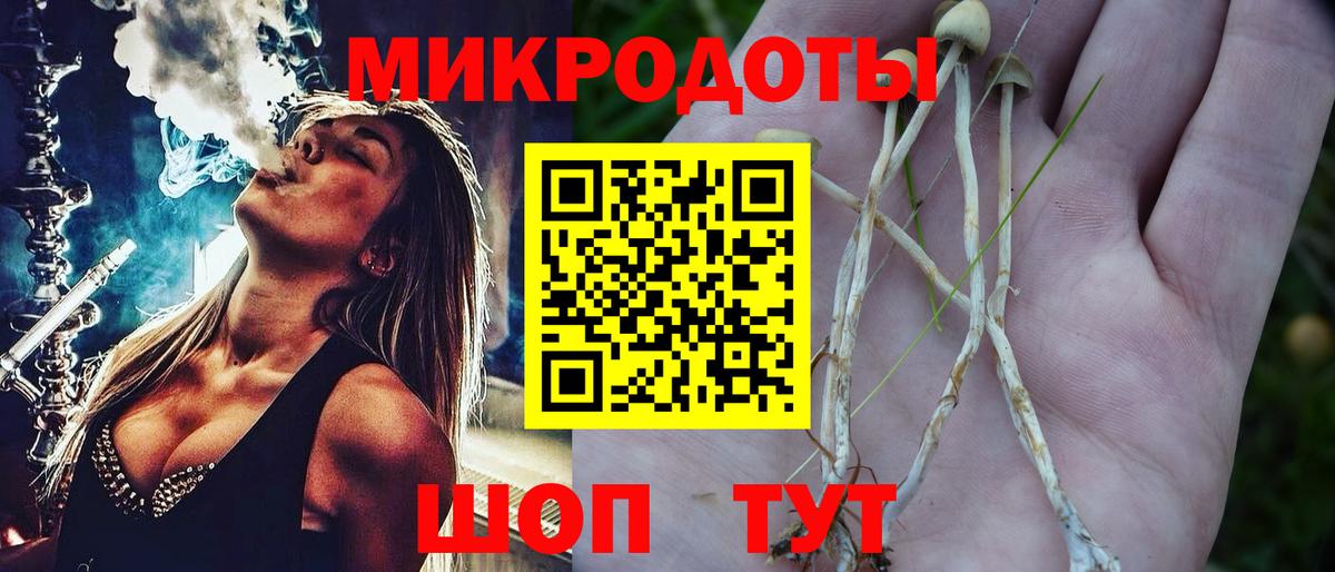 Гурьевск  дарнет шоп  Вход с VPN  Псилоцибиновые грибы мицелий 