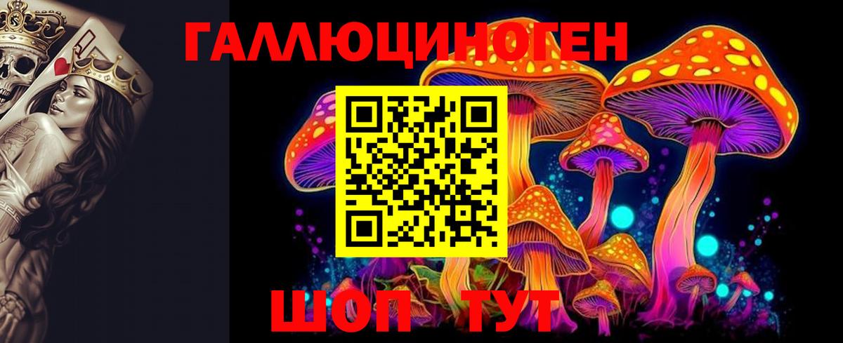 Галлюциногенные грибы прущие грибы Гурьевск